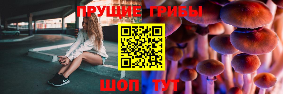 Псилоцибиновые грибы Cubensis  Вход с VPN  Псилоцибиновые грибы мицелий  Павлово 